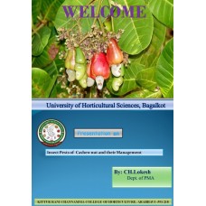 India's Insect Pests of Cashew nut and their Management
